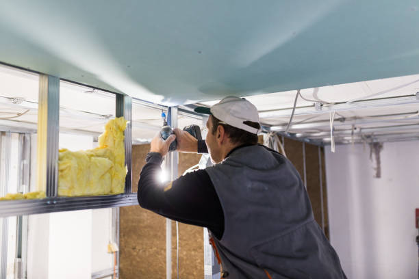 Best Blown-in Insulation in Mill Bay, AK
